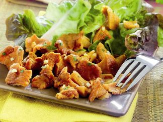 GIROLLES