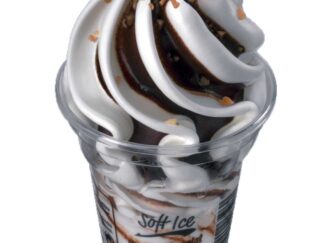 12 SOFT ICE VANILLE CHOCOLAT