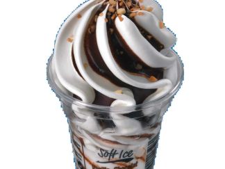 SOFT ICE VANILLE CHOCOLAT