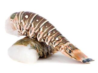 QUEUE DE LANGOUSTE GROSSE