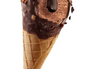 3 CONES BOULE CHOCOLAT